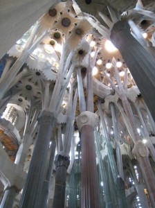 Interior of cathedral, looking up (note the columns that look like branching trees)