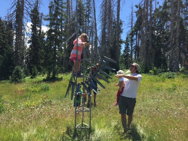 Playing in a meadow at Cedar Breaks.