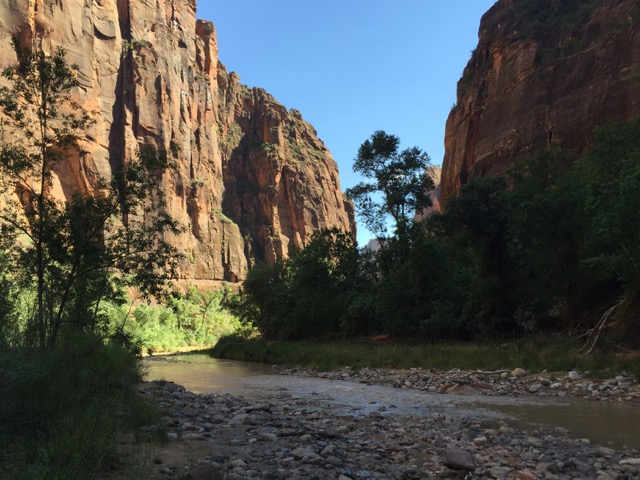 The Virgin River in Zion National Park.