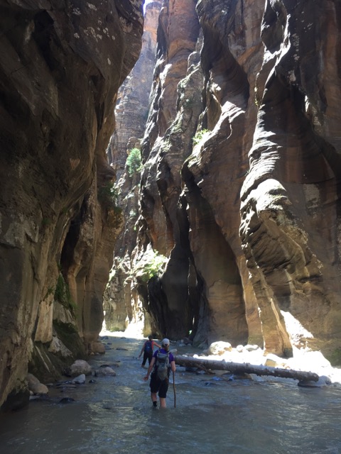 Typical hiking in the Narrows.