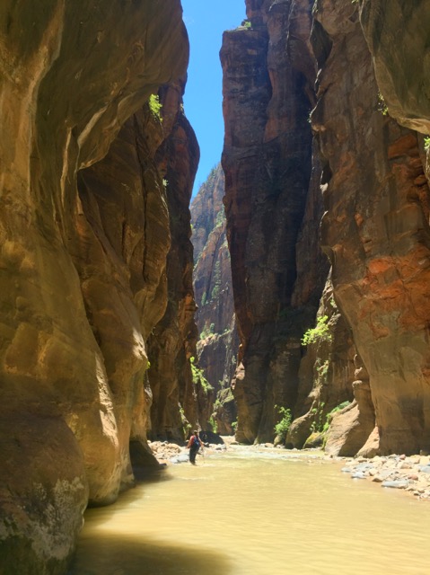 The Virgin River's brown color.