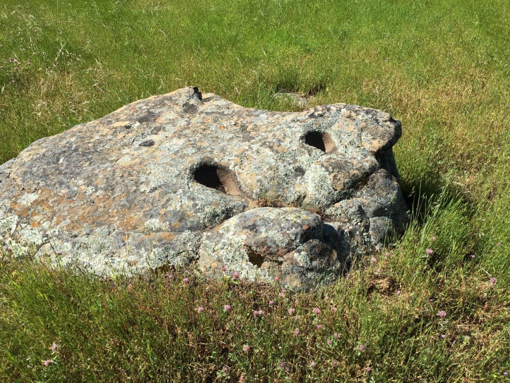 These are mortar holes, which, together with a pestle, was used to grind nuts and other food.