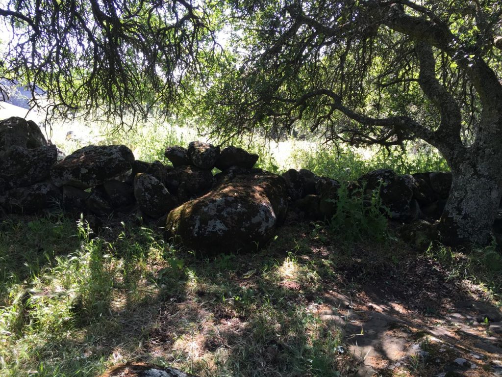 A rock wall.