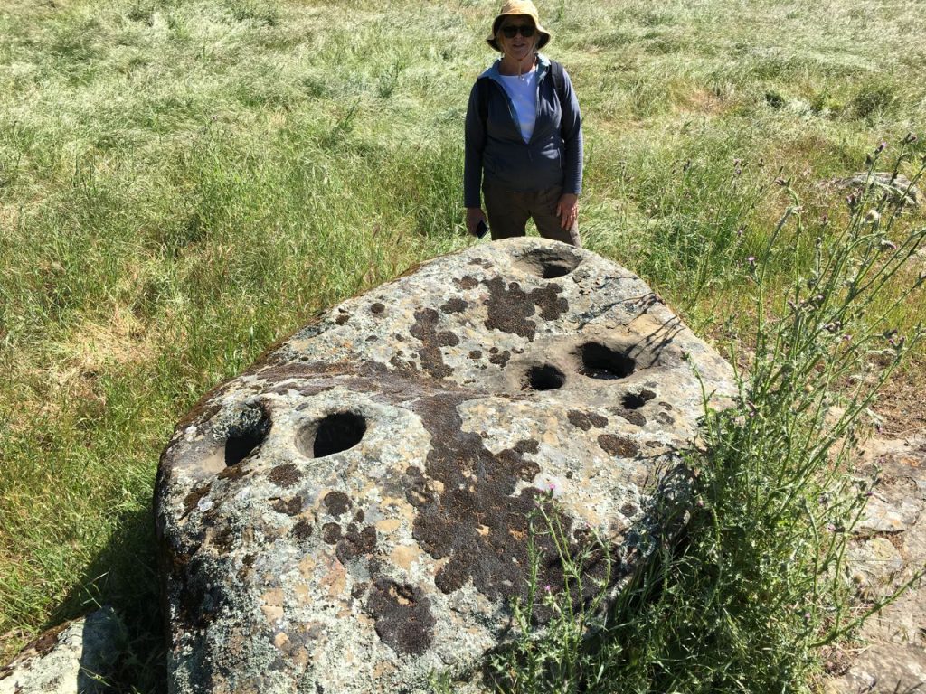 Linda looking at one of the many rocks.