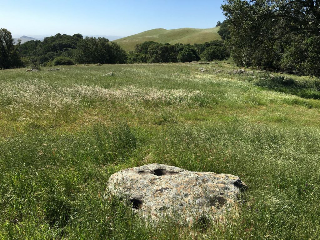 This photo overlooks the site, which is roughly 100 yards by 200 yards in size.