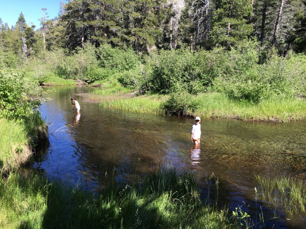 Rachelle and Holland wade in the stream.
