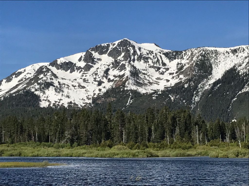 Mt. Tallac, with the Taylor Creek Meadow in the foreground.