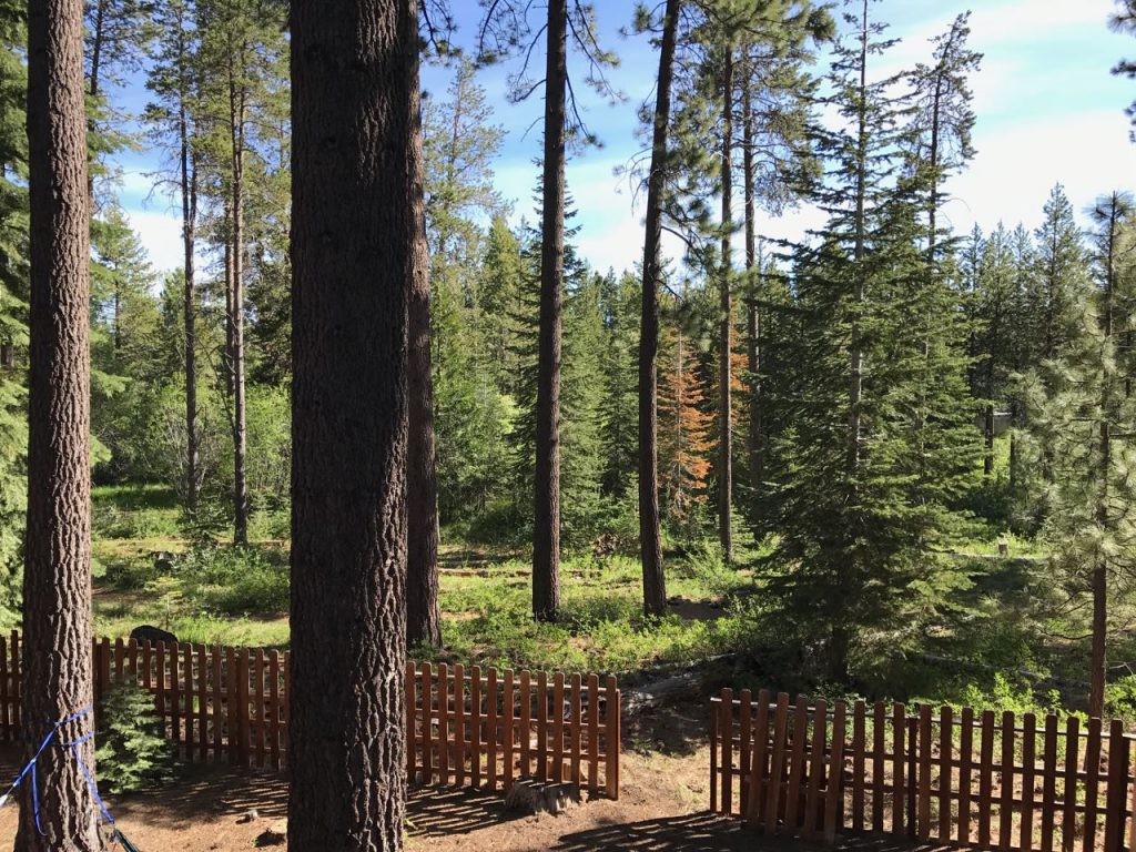 View from the deck.