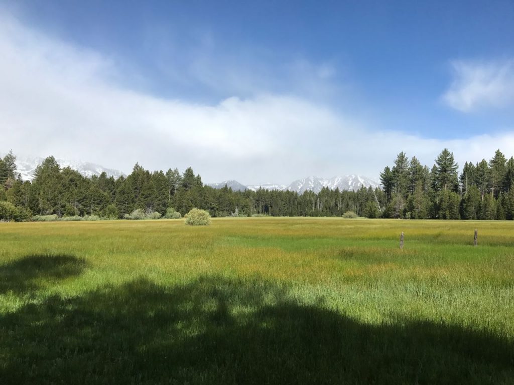 A large meadow 2 blocks from the house.
